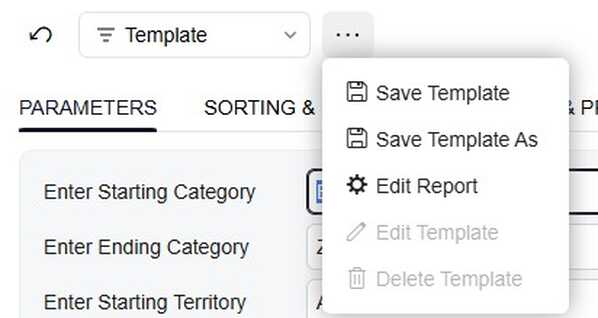 Report Designer 2025.2